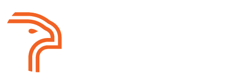 Falcon-i